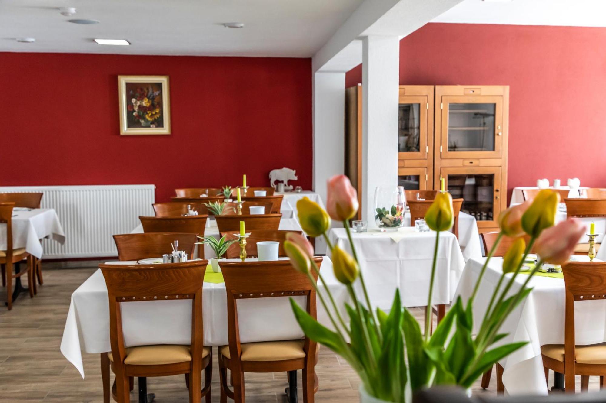 Hotel Jaegerhaus In Singen Am Hohentwiel Exteriér fotografie